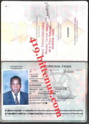 My international passport